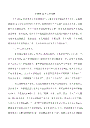 乡镇镇23年工作总结.docx