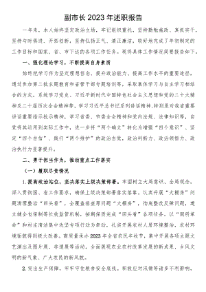 副市长2023年述职报告.docx