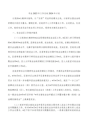司法2023年工作总结2024年计划.docx