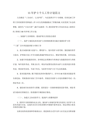XX年护士个人工作计划范文.docx