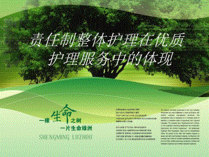 责任制整体护理、优质护理.ppt