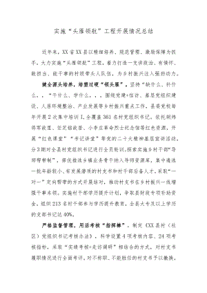 实施“头雁领航”工程开展情况总结.docx