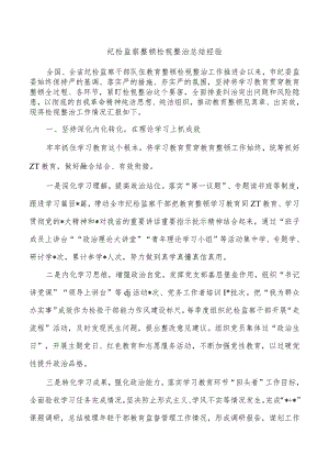 纪检监察整顿检视整治总结经验.docx
