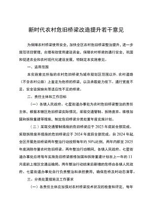 新时代农村危旧桥梁改造提升若干意见.docx