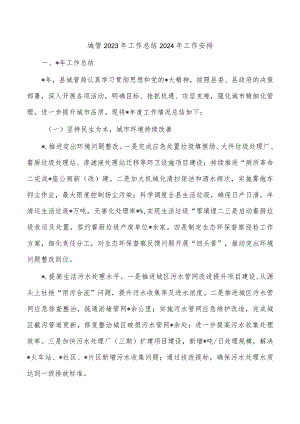 城管2023年工作总结2024年工作安排.docx