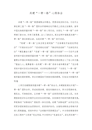 (2篇）共建“一带一路”心得体会学习“一带一路”国际合作高峰论坛开幕式上主旨演讲体会心得.docx