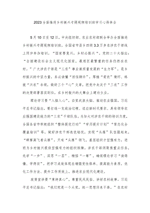2023全面推进乡村振兴专题视频培训班学习心得体会2篇.docx