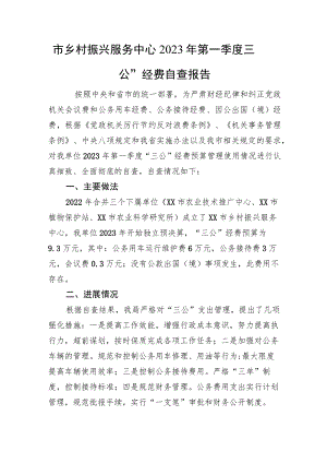 市X中心2023年第一季度“三公”经费自查报告）.docx