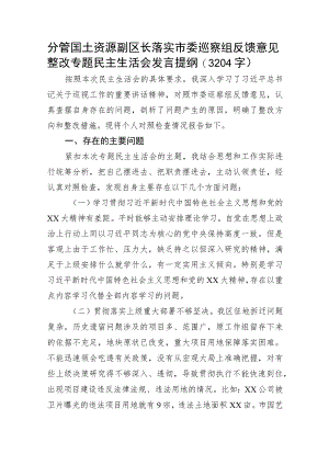 巡察整改专题民主生活会发言提纲.docx