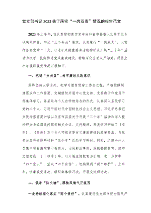 党支部书记2023关于落实“一岗双责”情况的报告范文.docx