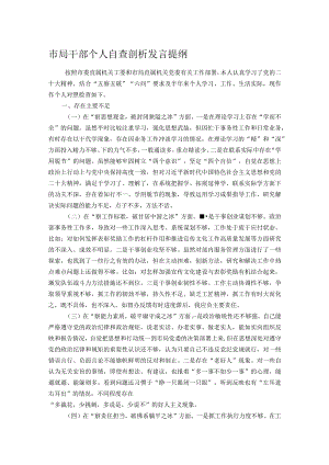 市局干部个人自查剖析发言提纲.docx