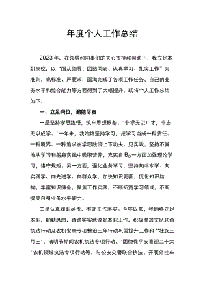 年度个人工作总结.docx