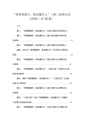 （12篇）“思想要提升我该懂什么”三抓三促研讨发言材料最新.docx