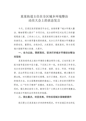某某街道主任在全区城乡环境整治动员大会上的表态发言 .docx