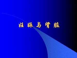 医学资料妊 娠 与 肾 脏.ppt