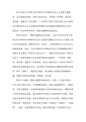 中心组研讨发言：大力提升主题教育实效.docx