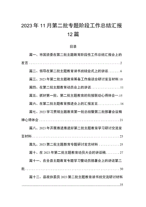 2023年11月第二批专题阶段工作总结汇报12篇.docx