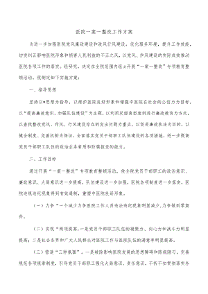 医院一案一整改工作方案.docx