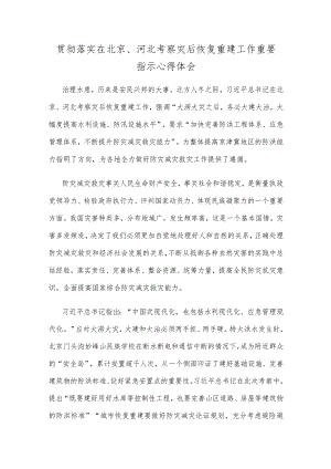 贯彻落实在北京、河北考察灾后恢复重建工作重要指示心得体会.docx