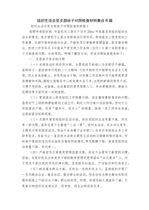 组织生活会党支部班子对照检查材料集合6篇.docx