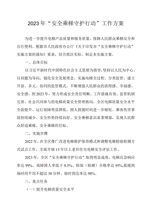 2023年“安全乘梯守护行动”工作方案.docx