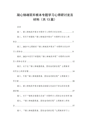 凝心铸魂筑牢根本专题学习心得研讨发言材料（13篇）.docx