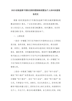 2023纪检监察干部队伍教育整顿检视整治个人自纠自查报告范文.docx