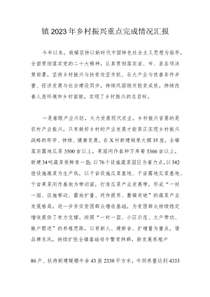 镇2023年乡村振兴重点完成情况汇报.docx