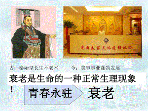 细胞的衰老和凋亡.ppt.ppt