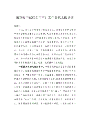 某市委书记在全市审计工作会议上的讲话 .docx