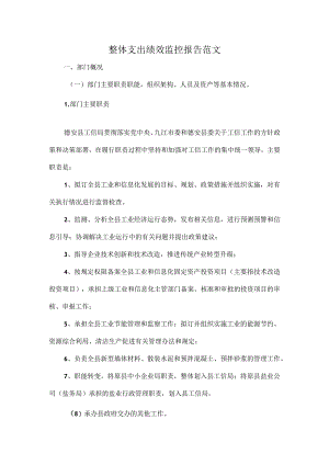 整体支出绩效监控报告范文.docx