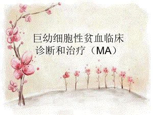 巨幼红细胞性贫血诊断和治疗.ppt