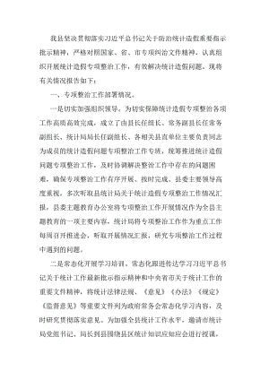 统计造假问题专项整治工作情况报告.docx