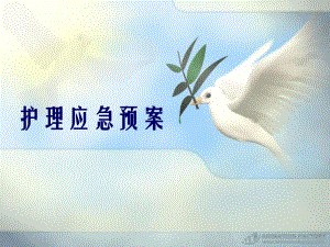 护理应急预案.ppt.ppt