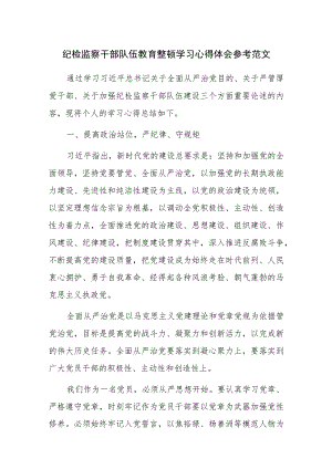 纪检监察干部队伍教育整顿学习心得体会参考范文.docx