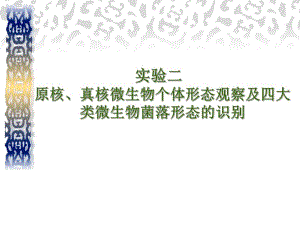 原核、真核微生物个体形态观察及四大类微生物菌落形态的识别.ppt