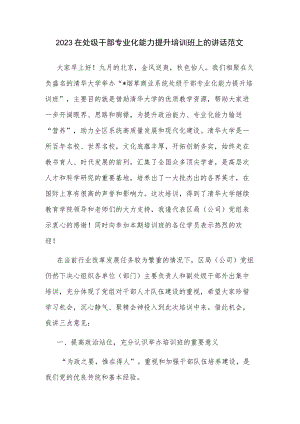2023在处级干部专业化能力提升培训班上的讲话范文.docx