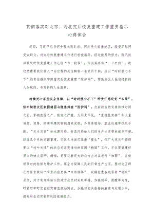 贯彻落实对北京、河北灾后恢复重建工作重要指示心得体会.docx