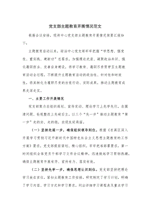 党支部主题教育开展情况范文.docx