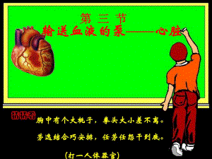 43输送血液的泵心脏.ppt