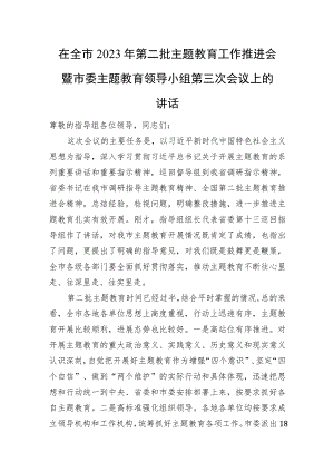 在全市2023年第二批主题教育工作推进会暨市委主题教育领导小组第三次会议上的讲话.docx