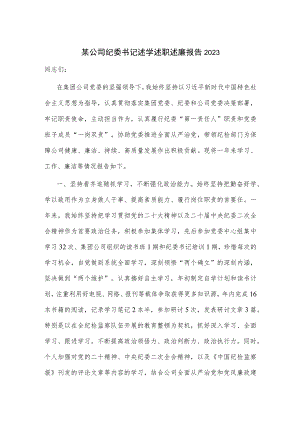 某公司纪委书记述学述职述廉报告2023.docx