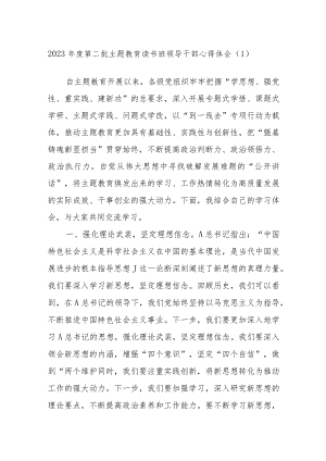 2023年度第二批主题教育读书班领导干部心得体会材料.docx