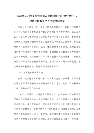 2023年（国企）支部党员第二批新时代中国特色社会主义思想主题教育个人剖析材料范文.docx