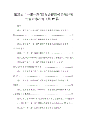 (12篇)第三届“一带一路”国际合作高峰论坛开幕式观后感心得参考范文.docx