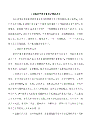 公司基层党建质量跟评整改总结.docx