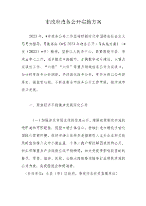 市政府政务公开实施方案.docx