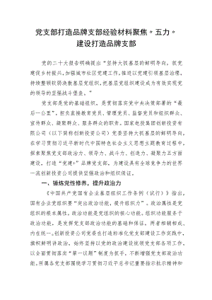 党支部打造品牌支部经验材料：聚焦“五力”建设 打造品牌支部.docx