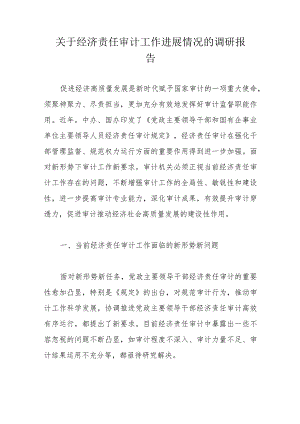 关于经济责任审计工作进展情况的调研报告.docx