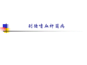 副猪嗜血杆菌病.ppt